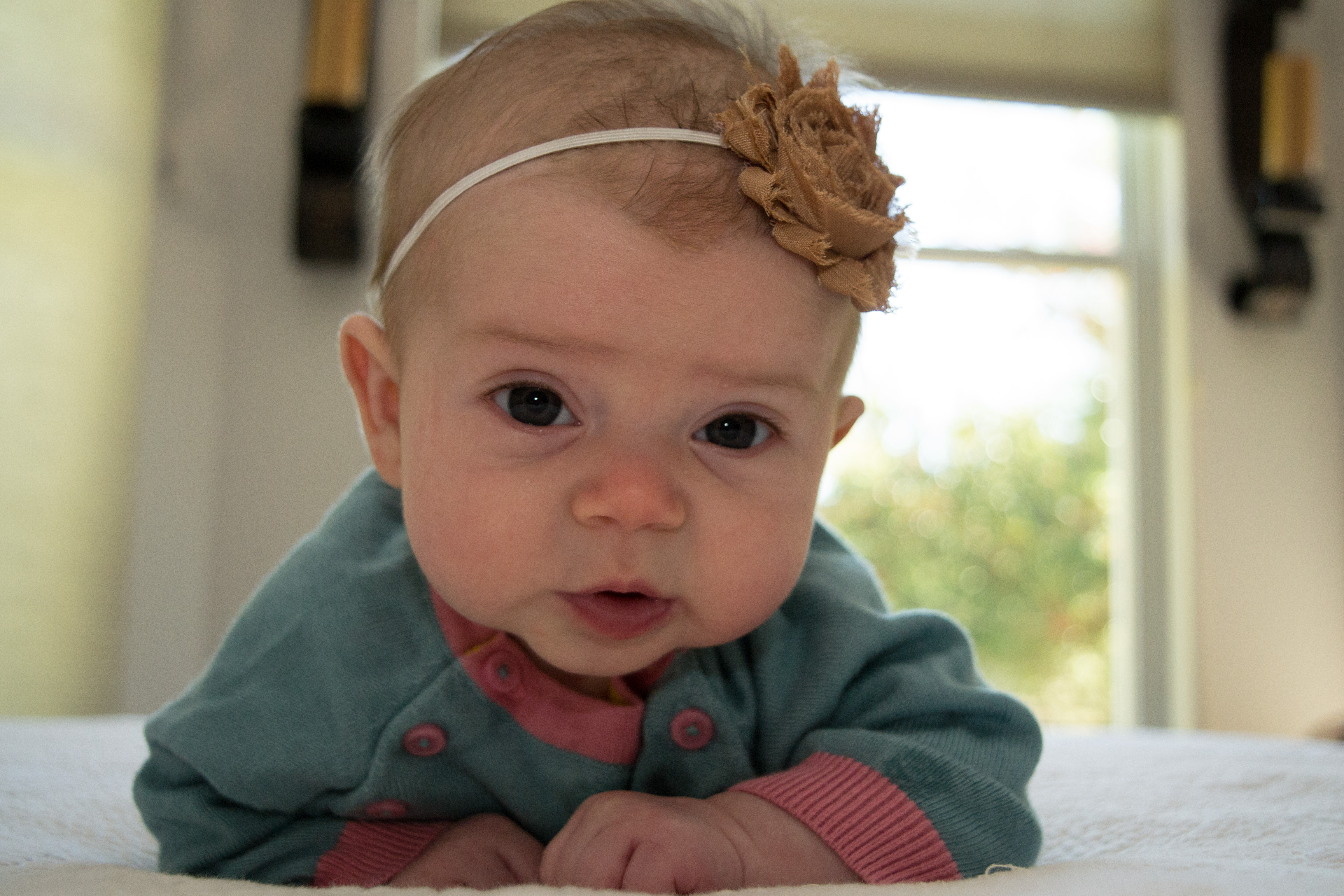 anna kate, our little <b>cranky franky</b>… as we sometimes need to say. you are <b>...</b> - DSC_0798